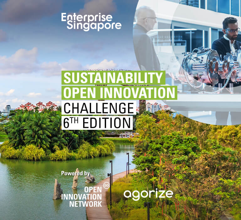 Sustainable Innovation