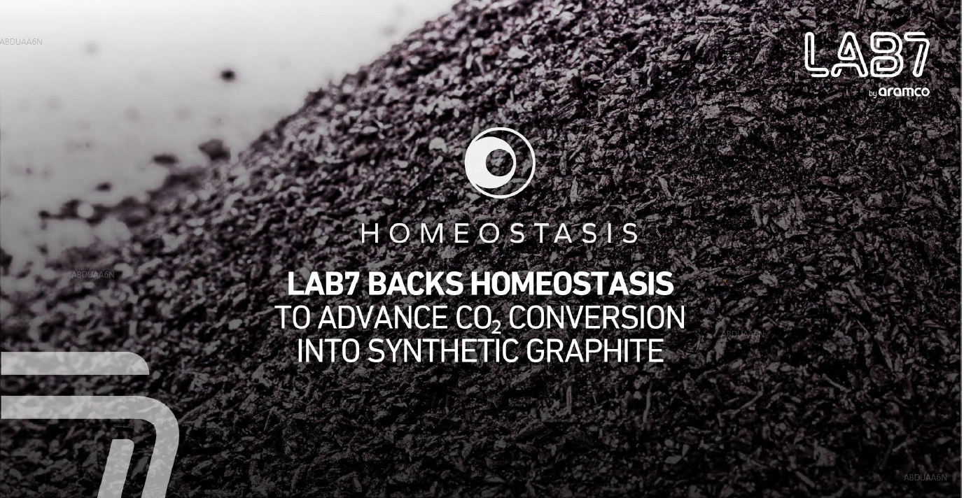 LAB7 Backs Homeostasis to Advance CO2 Conversion into Synthetic Graphite